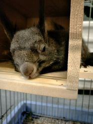 -周忆刺青原创设计定制