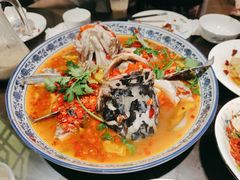 湘潭九龙鱼头-湘潭九龙鱼头店(城南西路店)