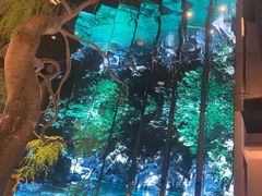 -桂满陇·海市蜃楼·黑金(国金店)