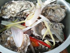 -春和發特色蒸饺(浐河西路店)