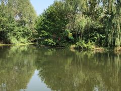 -溱湖国家湿地公园