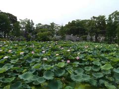 -惠州西湖丰渚园