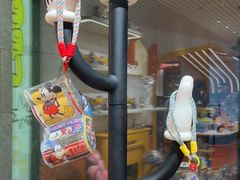 -深圳湾万象城(南山店)