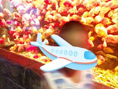 -多彩贵州城极地海洋世界