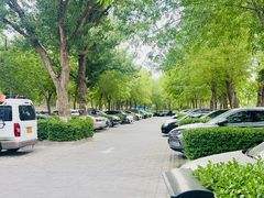-绿堤公园