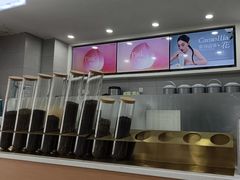 -雾与山茶(大禹城店)