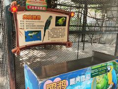 -深圳野生动物园