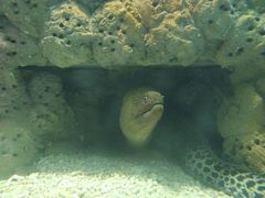 -洛阳龙门海洋馆