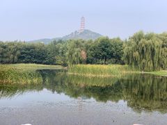 -北坞公园