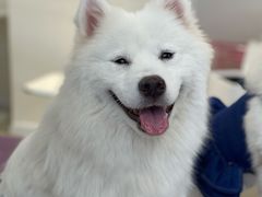 -怪兽屋·羊驼·猫咖·狗咖(俊华广场店)