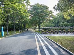 -贡湖湾湿地公园