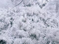-瓦屋山景区