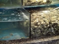 水产区-百纳·锦绣江南 (百纳瑞汀酒店)