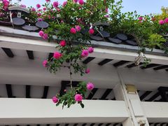 -香雪海饭店中餐厅(人民桥店)