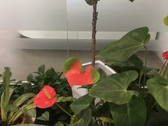 -无艺三语日托早教Arti School(高尔夫园区)