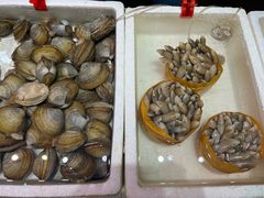 -蚝专家(北滘店)