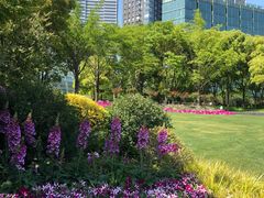 -北外滩滨江绿地