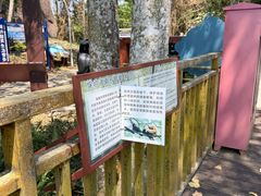 -霸王岭国家森林公园