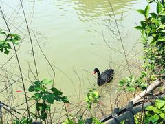 -艾溪湖湿地公园