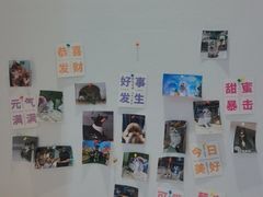 -PET WISH宠物愿望(BFC外滩金融中心店)