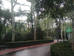 -西安市长乐公园