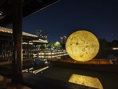 -洋湖国家湿地公园