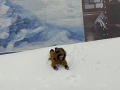-哈尔滨热雪奇迹