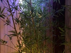-茗知道茶馆(世博源店)