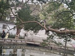 -西园戒幢律寺