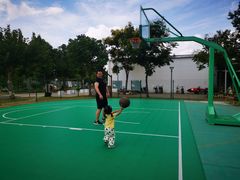 -前小桔亲子创意农场·草莓采摘·露营烧烤