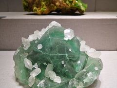 -河南自然博物馆