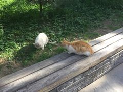 -达记卤菜店(红庙店)