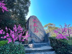 -桃花岛风景旅游区