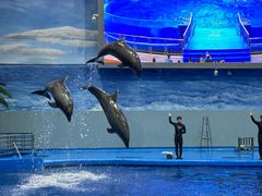 -福州罗源湾海洋世界旅游区
