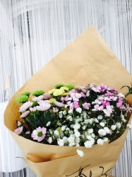 -巴黎春天·菀纱仙庭婚纱美学