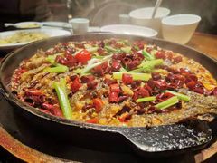 -老板恋上鱼(荣盛广场店)