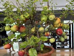 -茅庐·川粤精品私房菜(金沙遗址店)