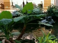 -白天鹅宾馆·流浮阁咖啡厅