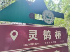 -莫干山风景区