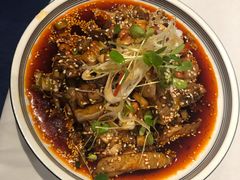 -院8里·少城记忆老川菜(宽窄巷子店)