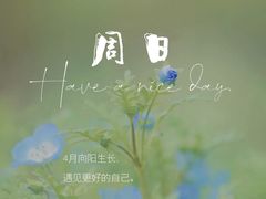 -黄浦区瑞金二路社区文化活动中心