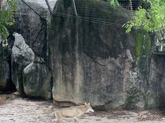 -南昌动物园
