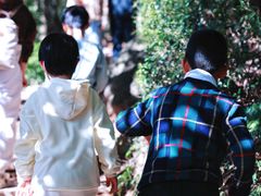 -杭州半山国家森林公园