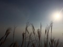 -银瓶嘴森林公园