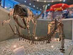 -国家自然博物馆