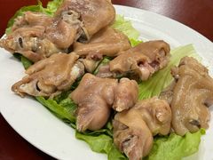 -丁老爷子苏香圆