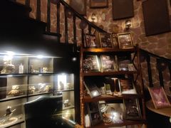 -雪灵魔法世界SHELLY’S TAROT(大良桂畔里店)