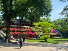 -红螺寺