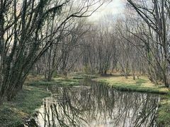 -西溪南古村落景区