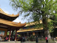 -普陀山风景名胜区-法雨禅寺